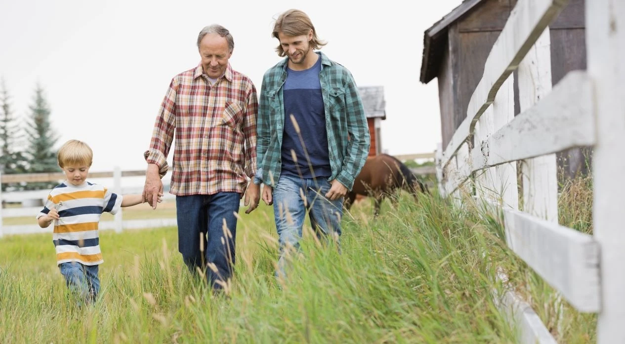 Three generation male family walking together on grassy field